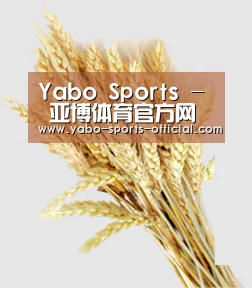 Yabo Sports - 亚博体育官方网站客户端下载