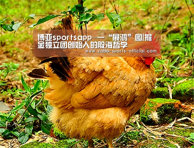 博亚sportsapp-一“展鸿”图|掘金独立团创始人的股海哲学(图3) 博亚sports体育平台