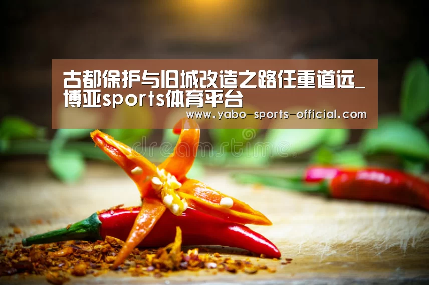古都保护与旧城改造之路任重道远_博亚sports体育平台(图4) 博亚sports体育平台